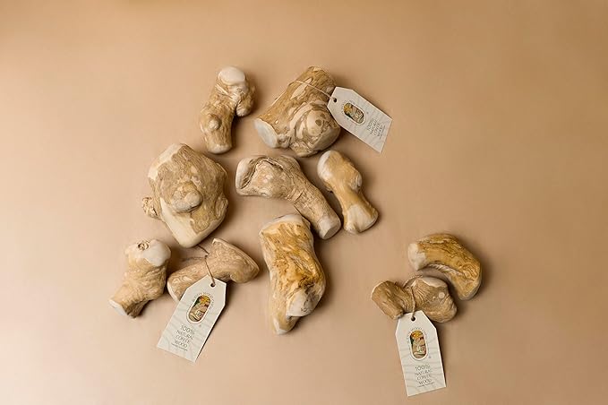 Buddy Wood Chew - Coffee Wood Toys for Dog - Gorilla Chew, Natural Dog Bone Alternative, Durable, Long Lasting ...(S (Single)