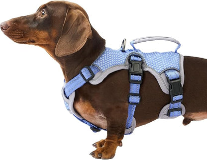 Huntboo Escape Proof Dog Harness, Escape Artist Harness, Reflective Dog Harness with Handle, Durable,Adjustable Vest for Small Medium Large Dogs Walking, Training, and Running Gear(Technicolor Blue,S)