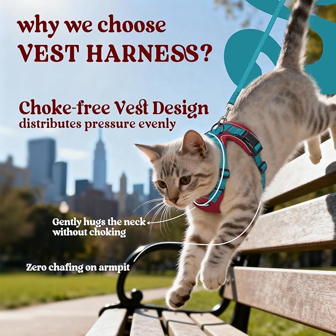 rabbitgoo Cat Harness and Leash for Walking, Escape Proof Soft Adjustable Vest Harnesses for Cats, Easy Control Breathable Reflective Strips Jacket, Red & Teal, M