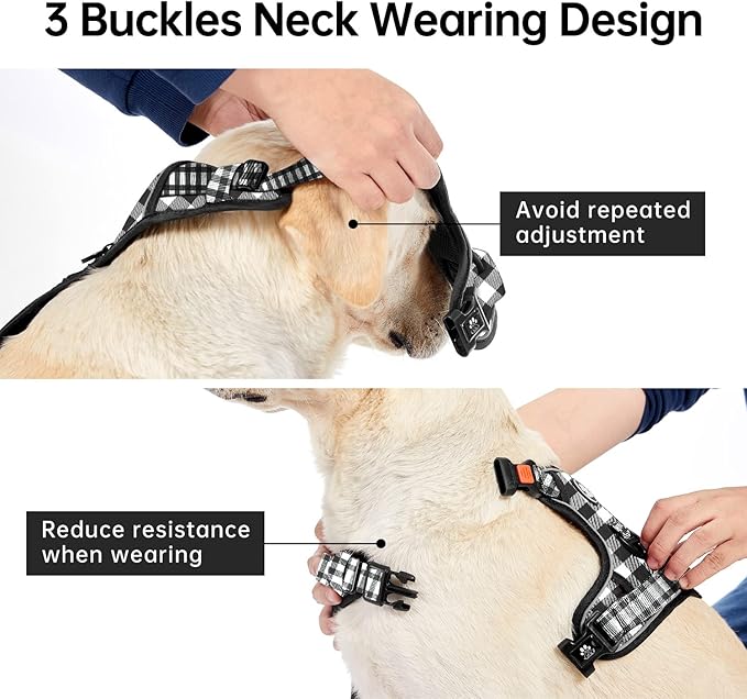 IVY&LANE No Pull Dog Harness with Leash Set, Reflective No Choke Pet Vest,Adjustable Oxford Dog Vest Harness with Easy Control Handle for Medium Lagre Dogs (Checkered Black,M)
