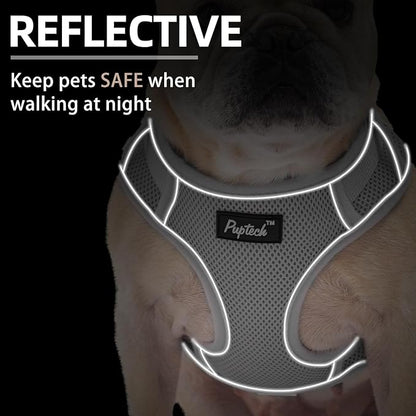 PUPTECK Small Dog Harness and Leash Set, No Pull Adjustable Puppy Cat Harness, Reflective Soft Mesh Pet Vest Small Sized, Grey, L