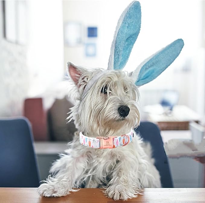 Lionheart glory Easter Collar Carrot Print Dog Collar for X-Small Cute Dog Collars Spring Female or Male Pet Gift Adjustable Heavy-Duty Puppy Collar Holiday