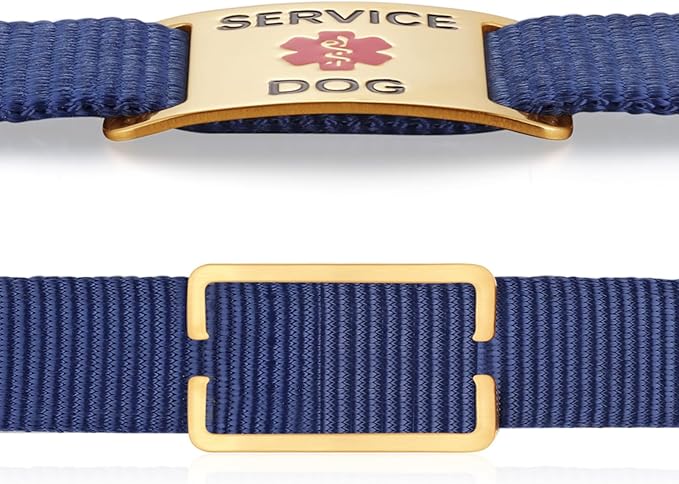 Leash King Surgical Stainless Steel PVD Gold K9 Pet ID Jewelry Tag - Slide on Dog Collar or Harness Quickly and Securely – No Noise, Durable - Stylish & Comfortable - Perfect for Dogs & Cats/Small