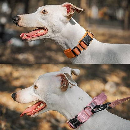OneTigris Tough Dog Collars, Tactical Dog Collar with Handle, Milltary Adjustable Dog Collar with Heavy Duty Metal Buckle for Training (Orange, S)