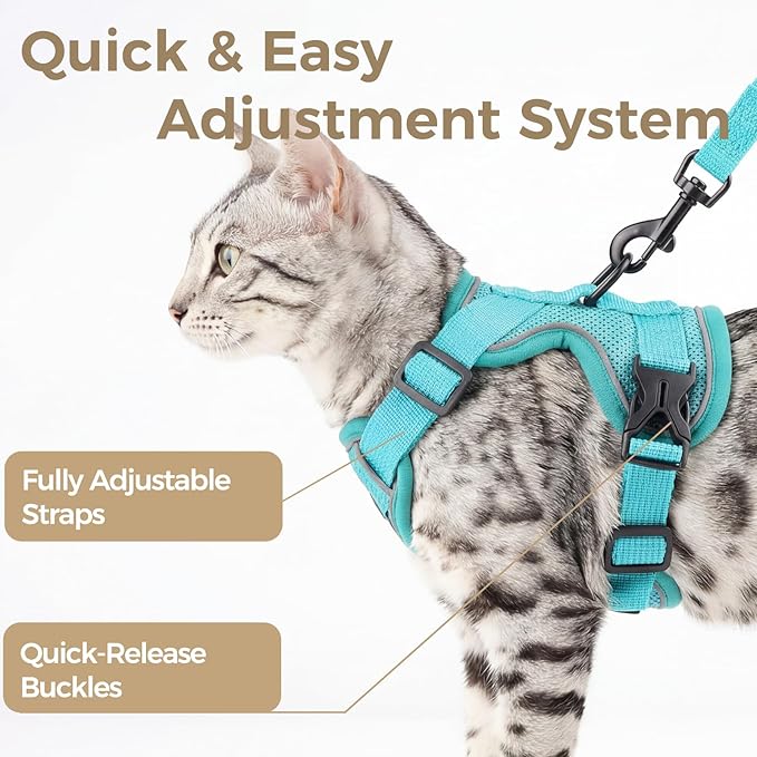 pangdi Cat Harness and Leash Set Escape Proof Tactical Small Kitten Harness Emotional Support Cat Vest, Turquoise, S