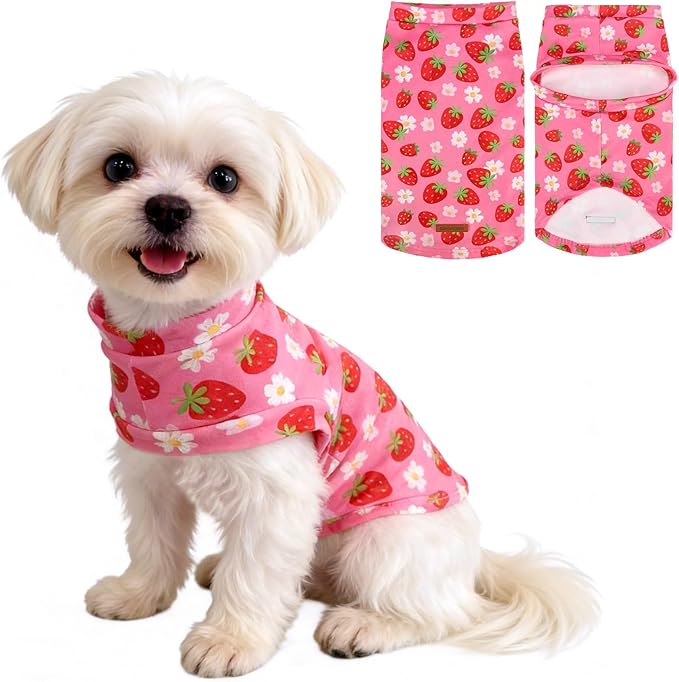 EXPAWLORER Soft Cat Sweater - Sweaters for Cats Only Warm Kitten Clothes, Fall and Winter Pet Coat Pullover Design, Fleece Sweatshirt Clothing Also for Puppy Small Dogs, Strawberry L