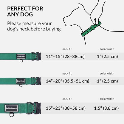 Heavy Duty Dog Collar for Large or Medium Dogs, Adjustable Strong Dog Collar for Active Dogs, Double-Layered Nylon (Green, 11-15)