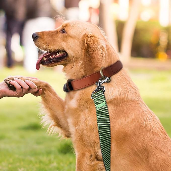 Hi Kiss Dog/Puppy Obedience Recall Training Agility Lead - 15ft 20ft 30ft 50ft 100ft Training Leash - Great for Training, Play, Camping, or Backyard(30ft,Black_Green)