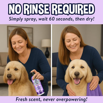 Bodhi Dog Waterless Shampoo - Natural Dry Shampoo for Dogs & Cats - Neutralizes Pet Odor - No Rinse Required - Made of Natural Extracts - Safe for Sensitive Skin - Made in USA - Lavender (17 Fl Oz)