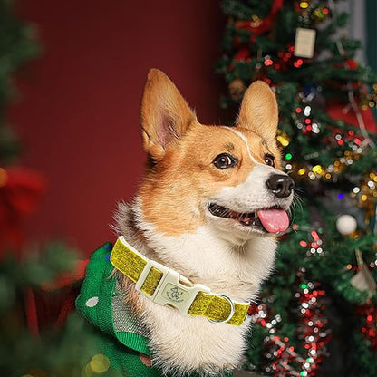 Elegant little tail Glittering Dog Collar, Christmas Cute Girl Boy Pet Collar Gold Bling Pet Collars with Durable Cotton Webbing Adjustable Dog Collars for X-Small Puppy