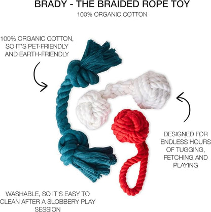 Brady The Rope Tug Toy 3-Pack Organic Cotton Dog Rope Pull Toys for All Pet Breeds, Holiday, One Size