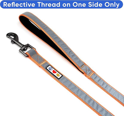 Pawtitas Orange Dog Leash 6 ft Custom ID Lead for Dogs & Puppies Reflective Comfortable Padded Handle Embroidered Name & Phone Number