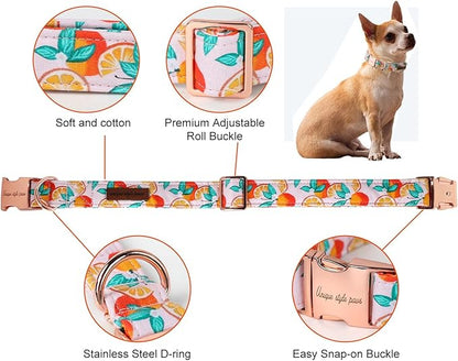 Unique style paws Dog Collar Metal Buckle Gift for Small Medium Large Boys Girls Dogs orange XL