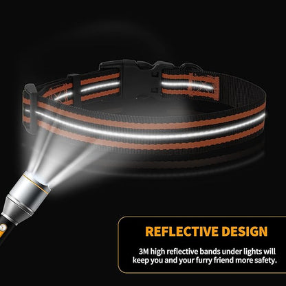 Mile High Life Reflective Dog Collar | Nylon Pet Collars wiith Buckle | Light Weight Puppy Collars | Orange Dog Collars for Small Dogs (Orange, S)