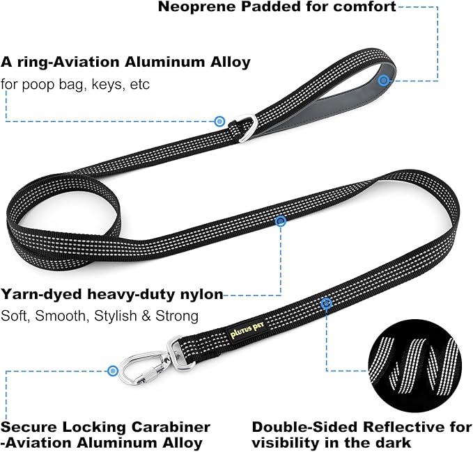 Plutus Pet Heavy Duty Dog Leash with Lockable Aluminum Carabiner, 4/6 Feet Long, Double-Sided Reflective Nylon, Padded Handle, for Puppy, Small, Medium and Large Dogs (Black, 1" x 4')