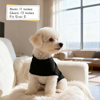EXPAWLORER Soft Cat Sweater - Sweaters for Cats Only Warm Kitten Clothes, Fall and Winter Pet Coat Pullover Design, Fleece Sweatshirt Clothing Also for Puppy Small Dogs, Black L