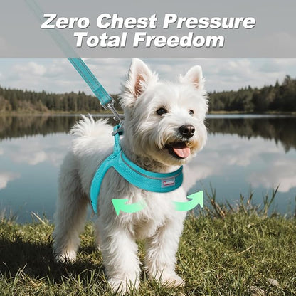 Dog Harness and Leash Set,Step in Small Sized Dog Harness,Soft Mesh,No-Chock,Reflective Adjustable,Secure with Hook & Loop Fastener,Puppy Vest for Small,Medium Dogs(Ocean Blue,L)
