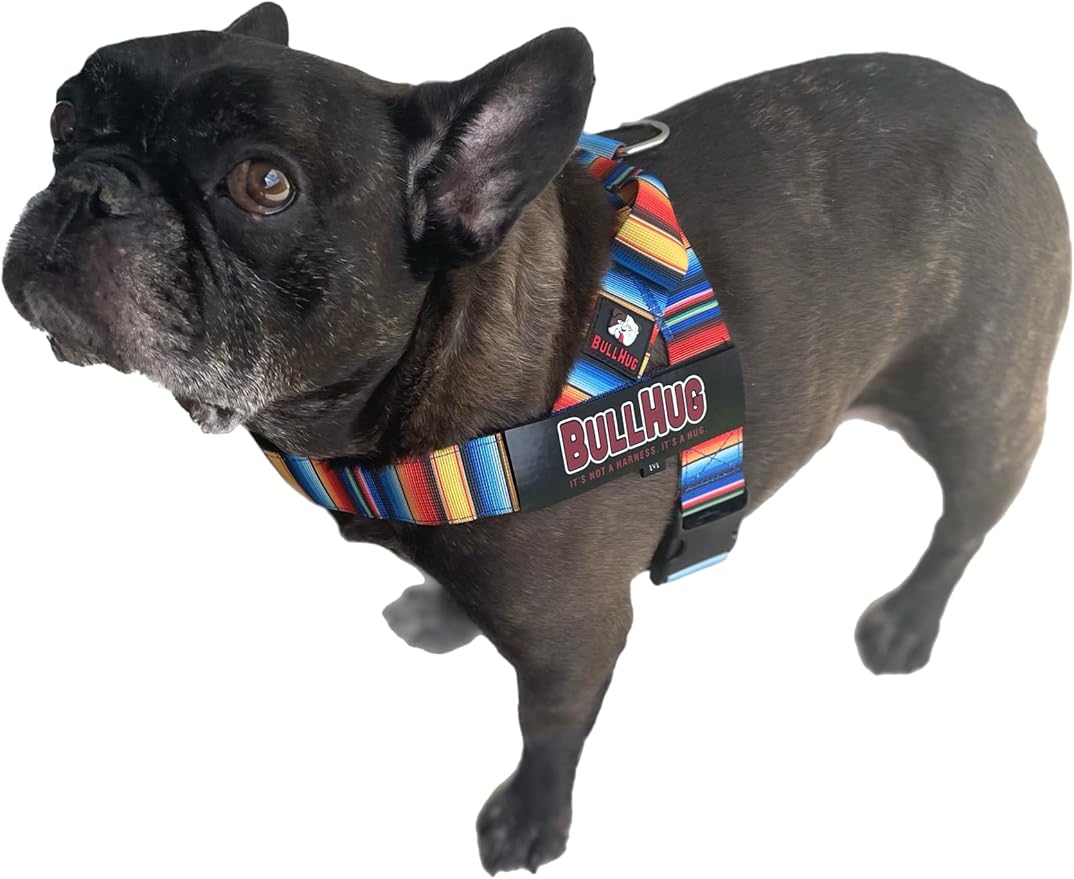BULLHUG Adjustable Dog Harness– No Pull, No Choke – for English Bulldogs, French Bulldogs, Pugs & Broad-Chested Breeds – Easy, Safe Walks (Fiesta, Large)