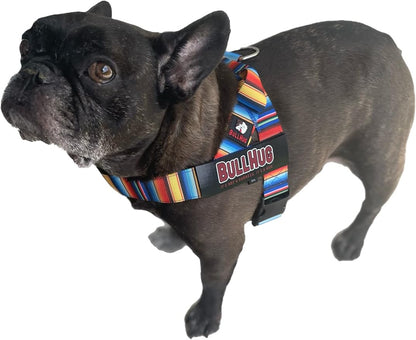 BULLHUG Adjustable Dog Harness– No Pull, No Choke – for English Bulldogs, French Bulldogs, Pugs & Broad-Chested Breeds – Easy, Safe Walks (Fiesta, Large)