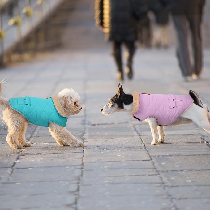 Winter Coat for Medium Dogs, Dog Plaid Jacket, Pets Coat for Cold Weather, Windproof Warm Garments, Pet Thickened Outfits Indoor Outdoor, Blue M