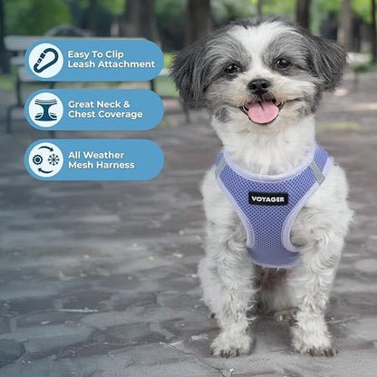 Best Pet Supplies Voyager Step-in Air Harness - All Weather Mesh, Reflective, No Pull Harness for Dogs, Cats - Secure with Hook & Loop Fastener, Buckle, Double D-Rings - Lavender, XS