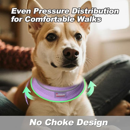 Dog Harness and Leash Set,Step in Small Sized Dog Harness,Soft Mesh,No-Chock,Reflective Adjustable,Secure with Hook & Loop Fastener,Puppy Vest for Small,Medium Dogs(Violet Purple,L)