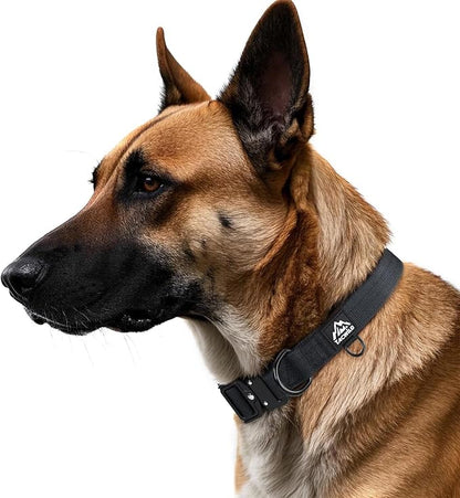 Dog Collar for Large Dogs - Adjustable, Chew Proof Nylon Collar with Metal Quick Release Buckle and D-Ring for Dog Tags (New York Afterlight, XS(0.5''Width, Fit 8''-11''))