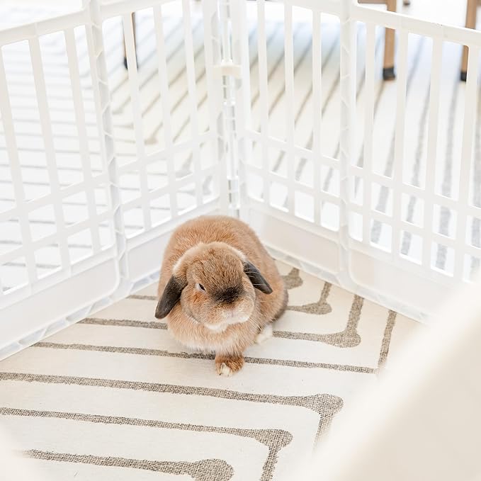 Carlson 4-Panel Plastic Pet Pen – Portable, Secure, and Easy-to-Use Playpen for Small Pets | 24" Tall, White, Includes Door and Lock, Ideal for Small Pets, Whelping and Indoor/Outdoor Use