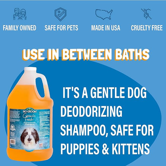 Bio-Groom Groom'n Fresh Dog Shampoo - Odor Eliminating, Dog Bathing Supplies, Puppy Wash, Cat Grooming Supplies, Cruelty-Free, Product Made in USA - 12 fl oz 1-Pack