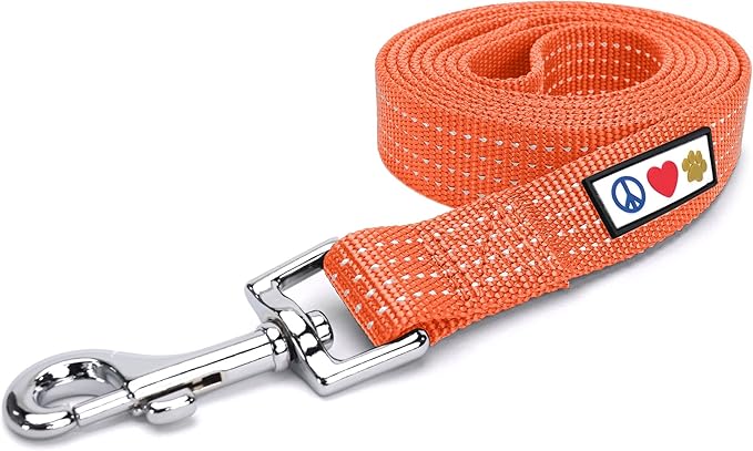 Pawtitas Orange Dog Leash 6 ft XS/S Reflective Durable Lightweight Dog Lead for Small Dogs and Puppies