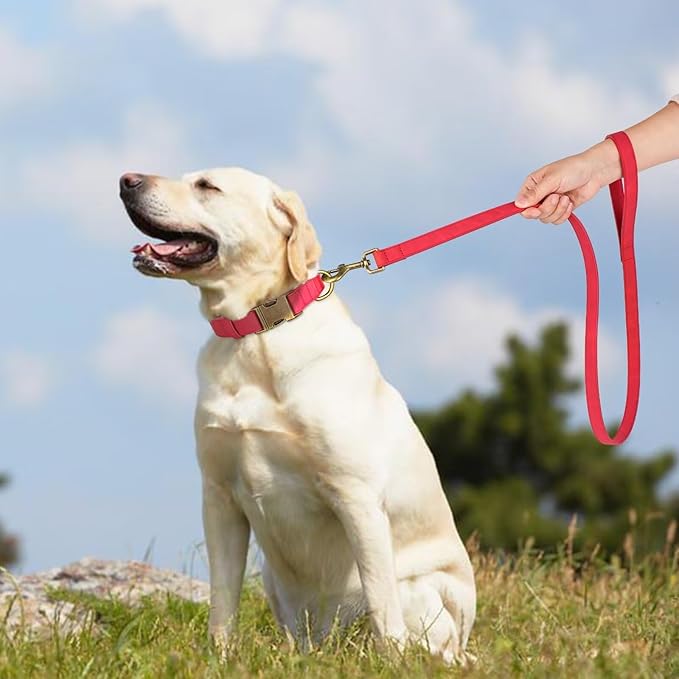 Didog PU Leather Dog Leash, Colorful Dog Leash 4ft, Strong and Durable Faux Leather Lead, Walking and Training Lead for Small Medium Dogs,Red