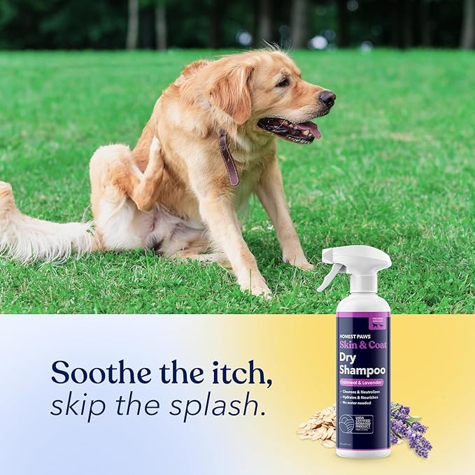 Honest Paws Dog Dry Shampoo - Waterless No Rinse Spray Formula Reducing Itch Cleanse Hydrate Nourish Dry Skin and Smelly Coat Help Decrease Odor Shedding and Allergies - Oatmeal & Lavender - 16 oz