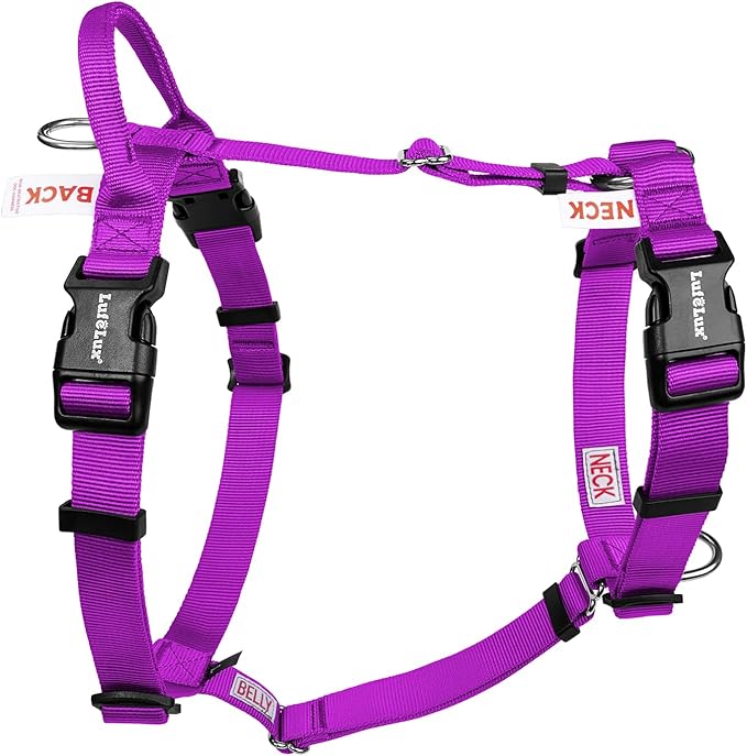 Non Restrictive Dog Harness, Easy Walk Freedom No Pull Harness, Keep Balance, Neck Buckle, 2 Leash Clips for Back/Front Clip, Sewn-in Instructions Labels for Easy Put On/Off (Purple, XLarge)