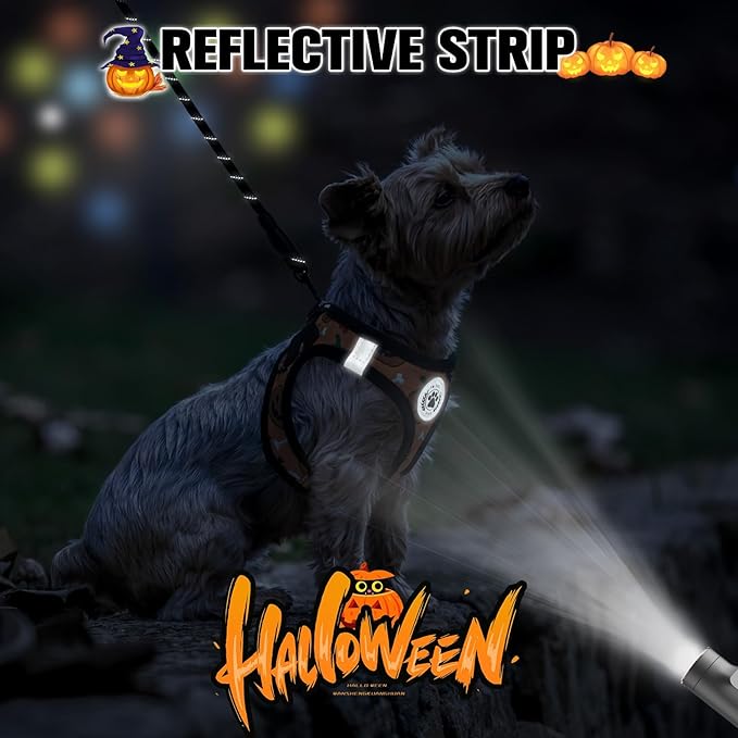 BEAUTYZOO Step in Dog Harness and Leash Set,Floral Pattern Reflective Dog Harness No Pull No Choke Puppy Harness for Small Dogs Cats,Soft Padded Mesh Vest Harnesses for Girl and Boy Pets,Halloween XS