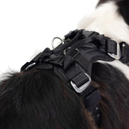 Ezydog Drive Dog Car Harness – Crash Tested and Certified (US-FMVSS 213) Dog Seat Belt Harness for Safe Travel, Adjustable with Padded Comfort (Medium)