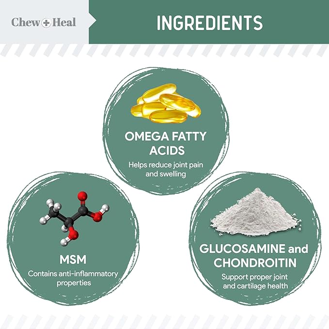 Chew + Heal Labs Glucosamine for Dogs Hip and Joint Supplement - 60 Senior Dogs Mobility Soft Chews - Made with Glucosamine, MSM, Chondroitin, Green Lipped Mussels and More - Made in The USA