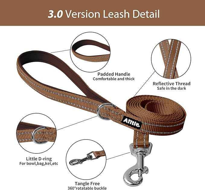 AIITLE Step in Dog Harness and Leash Set - No Pull Escape Proof Vest Harnesses with Soft Mesh and Reflective Bands, Adjustable Pet Outdoor Harnesses for Small and Medium Dogs Beige M