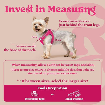 rabbitgoo Small Dog Harness, Step-in Soft Mesh Puppy Vest with Safety Buckle, Breathable Reflective Pet Harness for Small Medium Dogs, Rose Red L