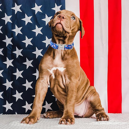 Unique style paws Independence Day Dog Collar Metal Buckle Ice Flag Collar Gift Durable Cute Collar for Small Medium Large Boys Girls Dogs
