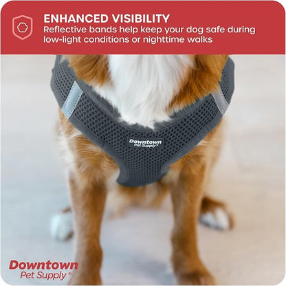 Downtown Pet Supply Step in Dog Harness for Small Dogs No Pull, X-Small, Titanium - Adjustable Harness with Padded Mesh Fabric and Reflective Trim - Buckle Strap Harness for Dogs