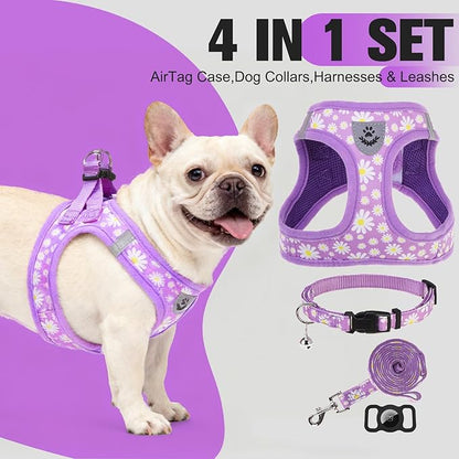 EXPAWLORER Small Dog Harness and Leash Set - Cute Spring Puppy Harness Leash Dog Collar with AirTag Holder Silicone Case, Soft Padded Step in Pet Vest Reflective for Outdoor Walking, Purple Daisy S