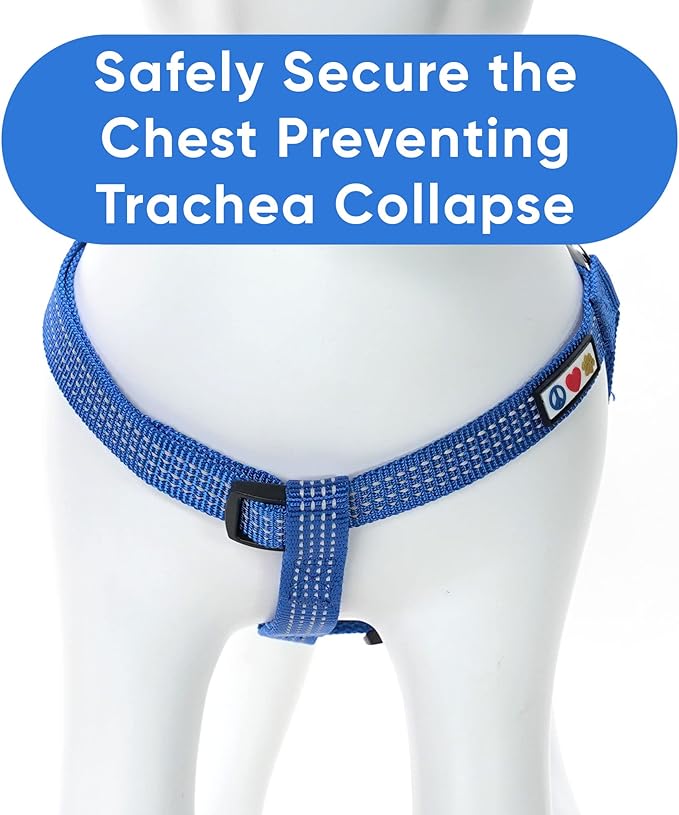 Pawtitas Reflective Step-in Dog Harness – Adjustable No-Pull Vest for Puppies to Seniors, Safe & Comfortable, M Blue