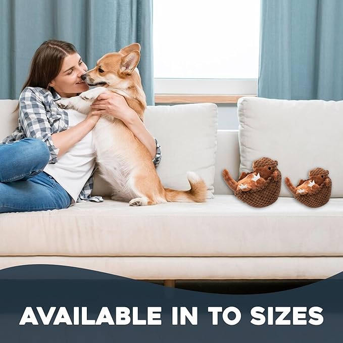 Flourish Pets 3 in 1 Multi-Layer Chew Toy for Active Dogs | Non-Toxic BPA Free Double Stitched Soft Fabric Exterior Dog Toys | Long-Lasting Dog Plush Toys – Small Armadillo 5.5"