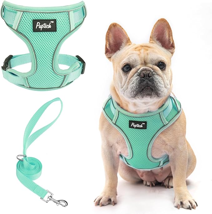 PUPTECK Small Dog Harness and Leash Set, No Pull Adjustable Puppy Cat Harness, Reflective Soft Mesh Pet Vest Small Sized, Green, L