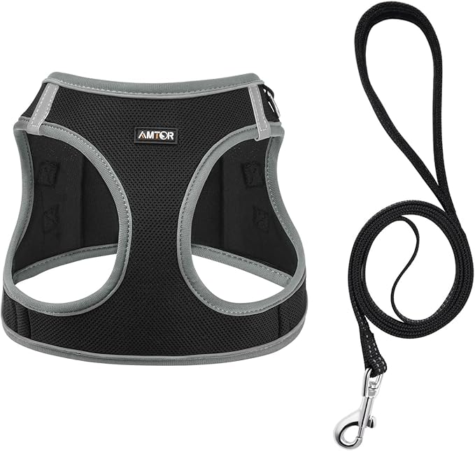 AMTOR Small Dog Harness with Leash Set, No Escape Easy Walk Puppy Harnesses for Training Walking, Step-in Reflective Soft Dogs Vest for XS S Medium Extra-Small Large Sized Dog(XS,Black/Grey)