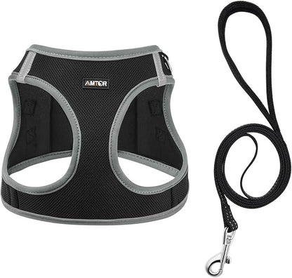 AMTOR Small Dog Harness with Leash Set, No Escape Easy Walk Puppy Harnesses for Training Walking, Step-in Reflective Soft Dogs Vest for XS S Medium Extra-Small Large Sized Dog(XS,Black/Grey)