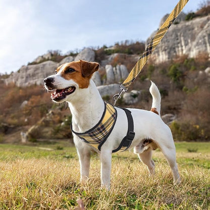 PUPTECK Soft Mesh Dog Harness and Leash Set Pet Puppy Cat Comfort Padded Vest No Pull Harnesses, Yellow, S