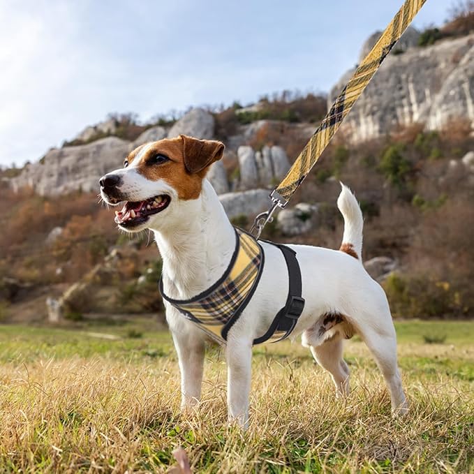 PUPTECK Soft Mesh Dog Harness and Leash Set Pet Puppy Cat Comfort Padded Vest No Pull Harnesses, Yellow, L
