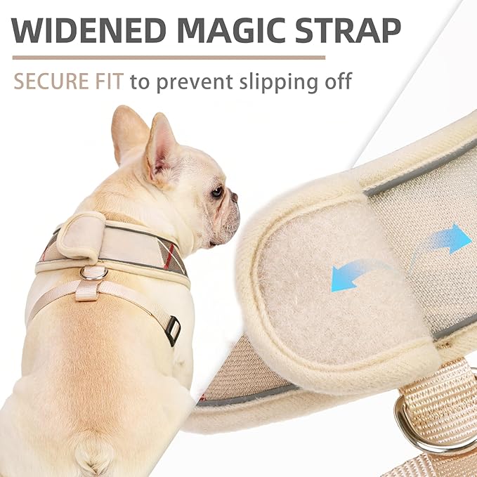PUPTECK Soft Mesh Dog Harness Small Sized and Leash Set Pet Puppy Cat Comfort Padded Vest No Pull Harnesses, Beige Plaid, M