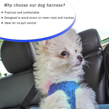 Comfort Fit Dog Harness Step in No Pull Harness for Medium Small Sized Dogs Soft Padded No Escape Harness Adjustable Easy Buckle with Leash Attachment D-Ring Extra Comfort Inside Velvet Plush S Blue